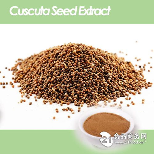 西安旭煌生物高水溶菟絲子粉 10 1提取物優選解析與行情展望
